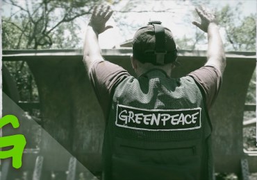 Greenpeace célèbre 50 ans d'activisme au service de l’environnement