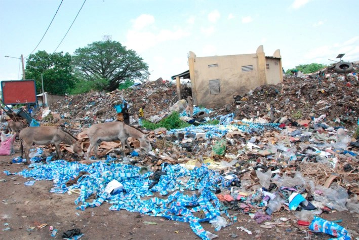 Cameroun-Emballages plastiques : Green Peace parle au gouvernement