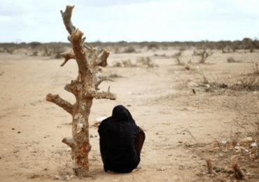 Changements climatiques : le rapport de l'ONU sur les avancées