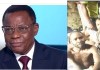 Cameroun : Condamnation des militants du MRC, harcèlement de Maurice Kamto… Le régime Biya-Ngoh confirme son option pour la guerre civile