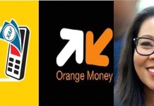 Rebecca Enonchong et la taxe sur les transferts d’argent, ou le mobile banking expliqué aux nuls… du gouvernement camerounais