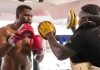 UFC : Les vraies raisons du départ de Francis Ngannou